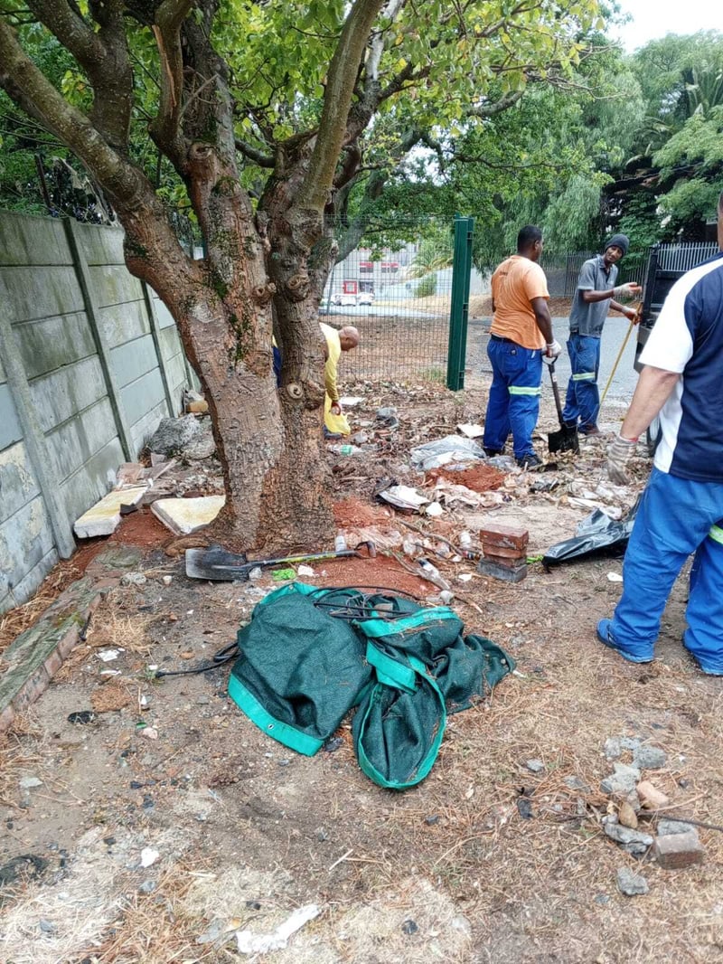 WhatsApp Image 2026-03-06 at 11.27.47