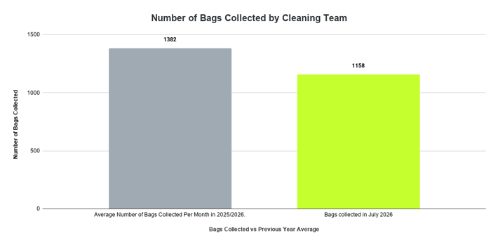 Number of Bags Collected by Cleaning Team (1)